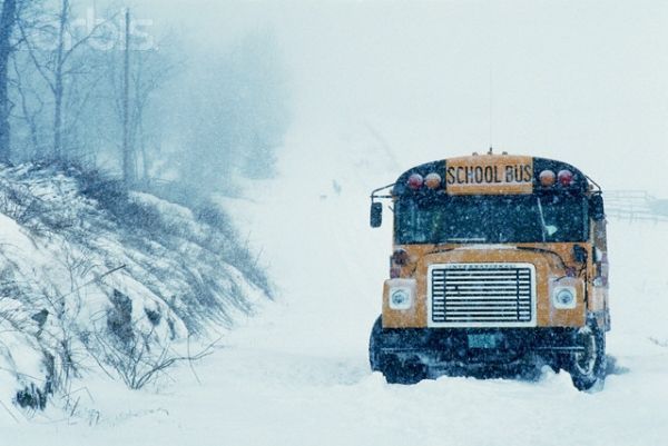 Snowy-School-Bus